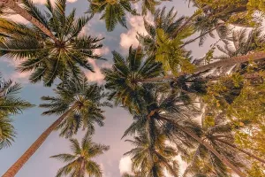 Tropical Forest Trees Print