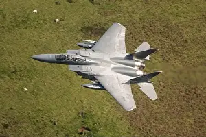 Mach Loop F15 Eagle Print