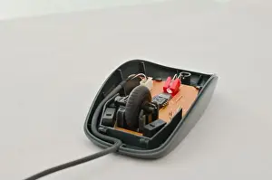 Open Computer Mouse Circuit Print
