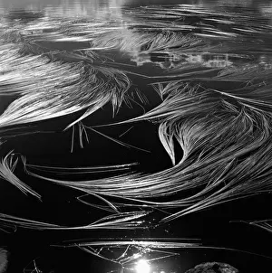 Patterns on Ice Print
