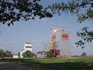 1927 Grain Elevators Print, Val Marie, Saskatchewan