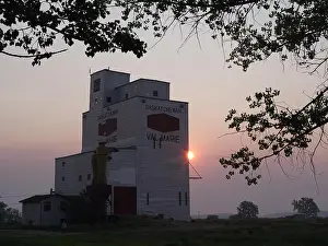 1927 Grain Elevators Print, Val Marie, Saskatchewan
