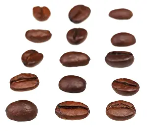 Roasted Coffee Bean Print