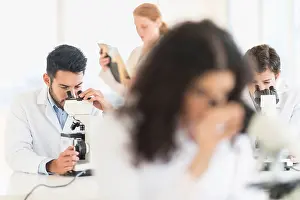 Scientists working in laboratory Print