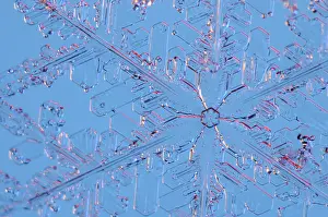 Snowflake Print under Microscope Magnification