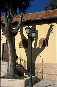 Tree House Shadow Print