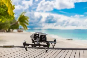 Flying Drone Print at the Beach with Palm Trees