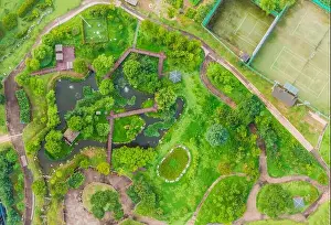 Top View Park Print with Paths