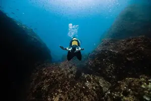 Back view of scuba diver Print