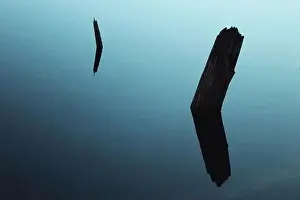 Water Reflection Print