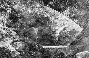 Primary Elements Of Nature Prints: Ice