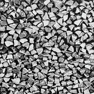 Woodland Scenery Prints: Wood