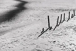 Cold Climate Photography Prints: Snow