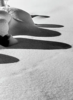 Winter Weather Conditions Prints: Snow