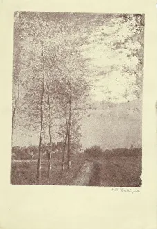 Landscape Photography Italy Prints: Trees