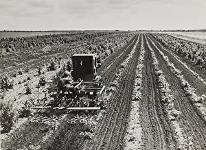 Farming Countryside Scene Prints: Agricultural work