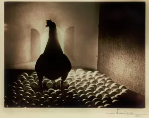 A hen
