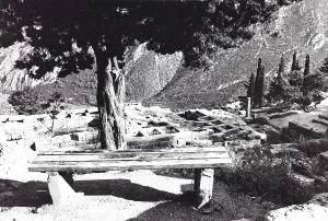 Ancient Greek Ruins Greece Prints: Archaeological Site of Delphi