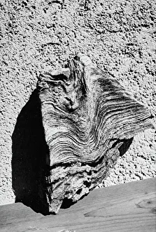 Swiss Mountain Landscapes Prints: August 1994, Celerina