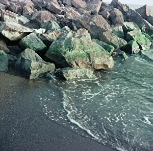 The beach of Cecina