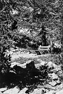 Garden Landscape Photography Prints: Bench in a park
