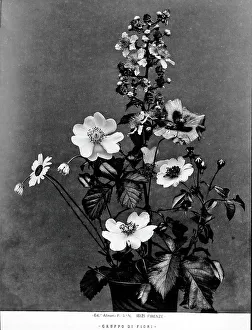 Vegetable Composition Prints: Bunch of flowers