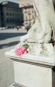 Camelia at the base of a statue