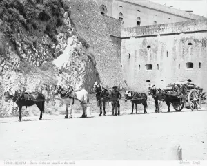 Rural Scene Europe Prints: A cart pull by mules and horses