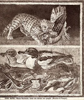 A cat sinking its teeth into a quail, mosaic taken from the House of the Faun of Pompeii and preserved in the National Archaeological Museum of Naples