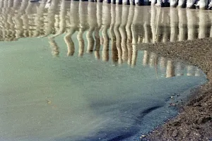 Natural Phenomena Photography Prints: Cecina Bathing
