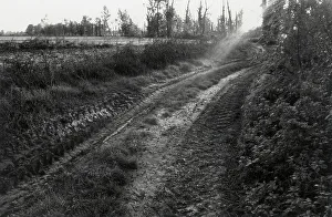 Farmland Vegetation Prints: In the country of Barbata