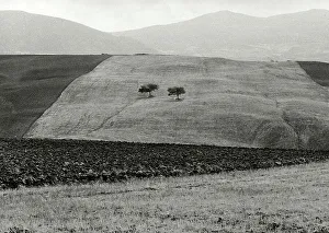 Countryside