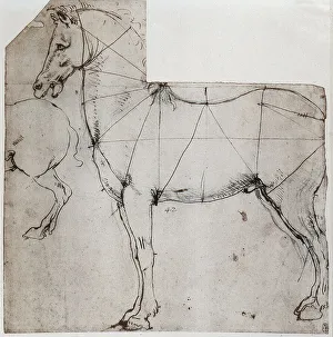 Drawing analyizing the centers of movement of the neck, shoulders, torso and haunch of a horse. The first drawing is done in silver point, while the measurements are done in pen, the second drawing is all silver point on pinkish paper. Leonardo da Vinci, Royal Library of Windsor