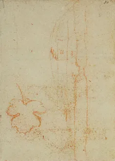 Renaissance Style Drawing Prints: Drawing from the Codex Forster III, c