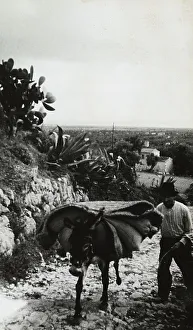 Environs of Minturno