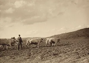 Farming Landscape Images Prints: Farmer with cows