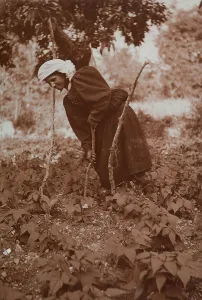 European Farming Practices Prints: Farmer at work, Scanno
