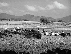 Farming Landscape Prints: Field-workers taking a break