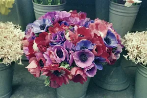 Vintage Flower Arrangements Prints: Flower pots