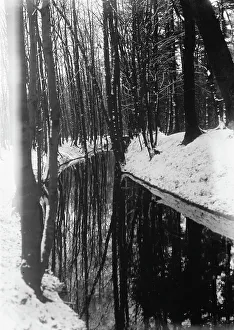 German Woodland Scenery Prints: Forest in Hanover