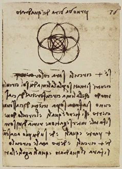 High Renaissance Drawings Prints: Geometric study on the intersection of circles and squares