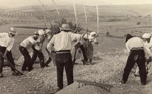 Grain threshing