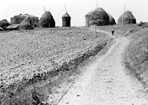 Italian Rural Landscape Photography Prints: Haystacks