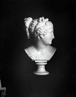 Head of Venus