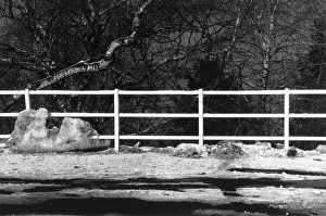Primary Elements Of Nature Prints: Ice and snow in Brunate