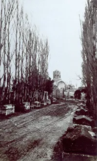 Interior of the Roman necropolis, later christian cemetery, of Les Alyscamps in Arles (France). In the foreground, on either side of an avenue, sarcophagi and ancient cypresses, some of which have died. In the background the Church of Saint-Honorat