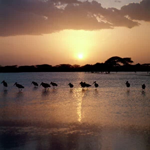Related Images Collection: Juba River. Sunset