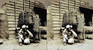 Country Life Scene Prints: A Korean farmer loading hay
