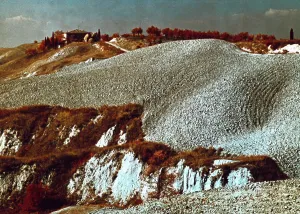 Countryside Landscapes Prints: Landscape n.4
