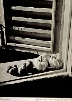 Tomato Still Life Prints: Still life study: on a window sill